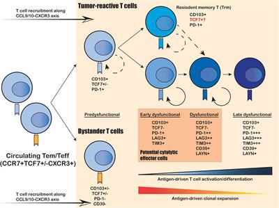 Applications of Single-Cell Omics to Dissect Tumor Microenvironment